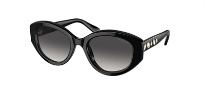 GÜNEŞ GÖZLÜĞÜ SWAROVSKİ SK6005 10018G53