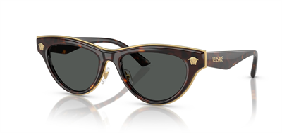 GÜNEŞ GÖZLÜĞÜ VERSACE VE2273 108/8752