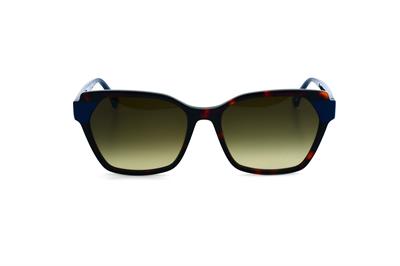 GÜNEŞ GÖZLÜĞÜ U.S. Polo Assn USS 0287 C1