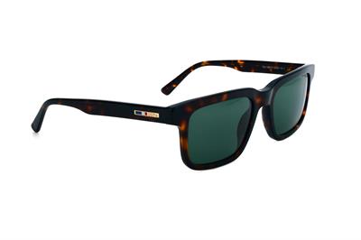 GÜNEŞ GÖZLÜĞÜ U.S. Polo Assn USS 0290 C3