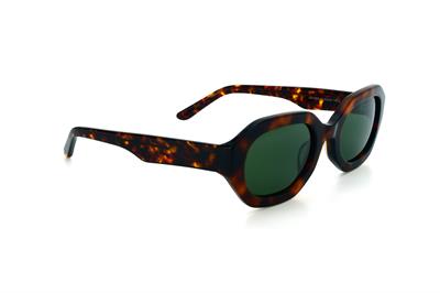 GÜNEŞ GÖZLÜĞÜ U.S. Polo Assn USS 0359 C2