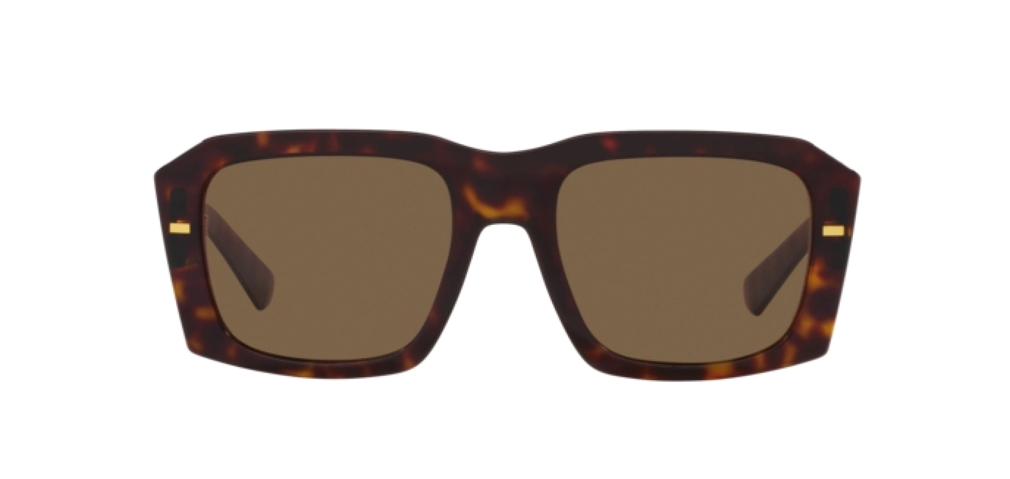 DOLCE&GABBANA_DG4430 502 7354_Elegance