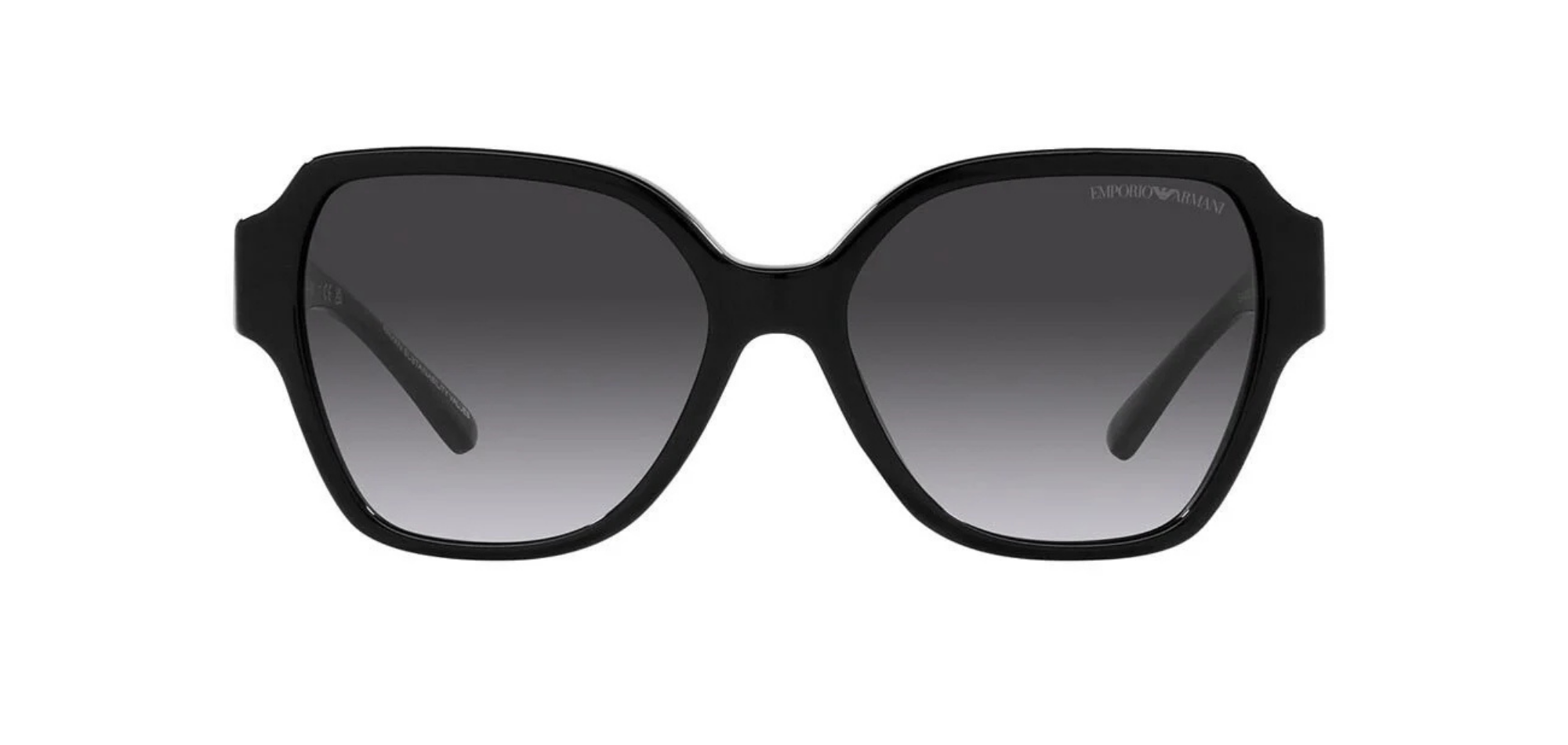 E.ARMANİ-EA420250178G54-Elegance