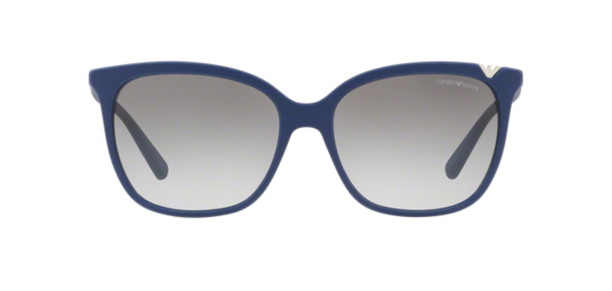 GÜNEŞ GÖZLÜĞÜ E.ARMANİ EA409456560211