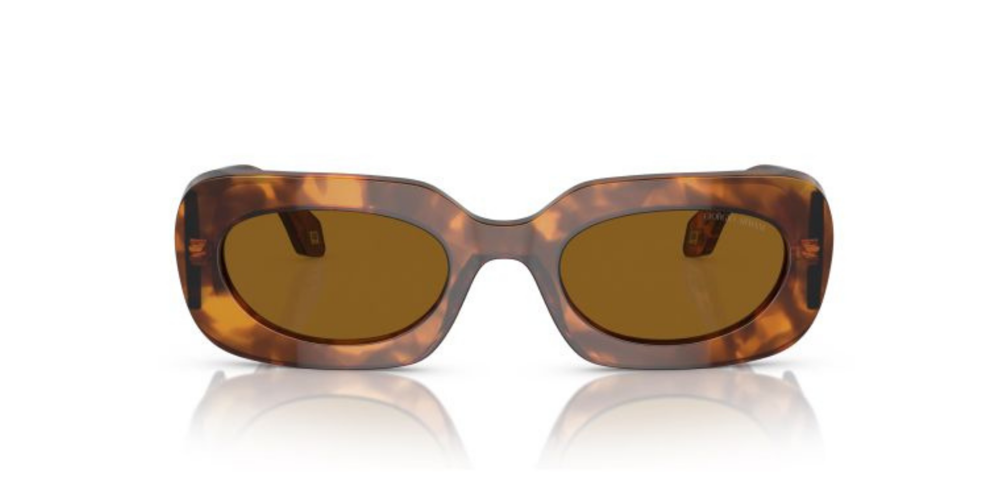 G.ARMANİ_AR8182 59883352_Elegance