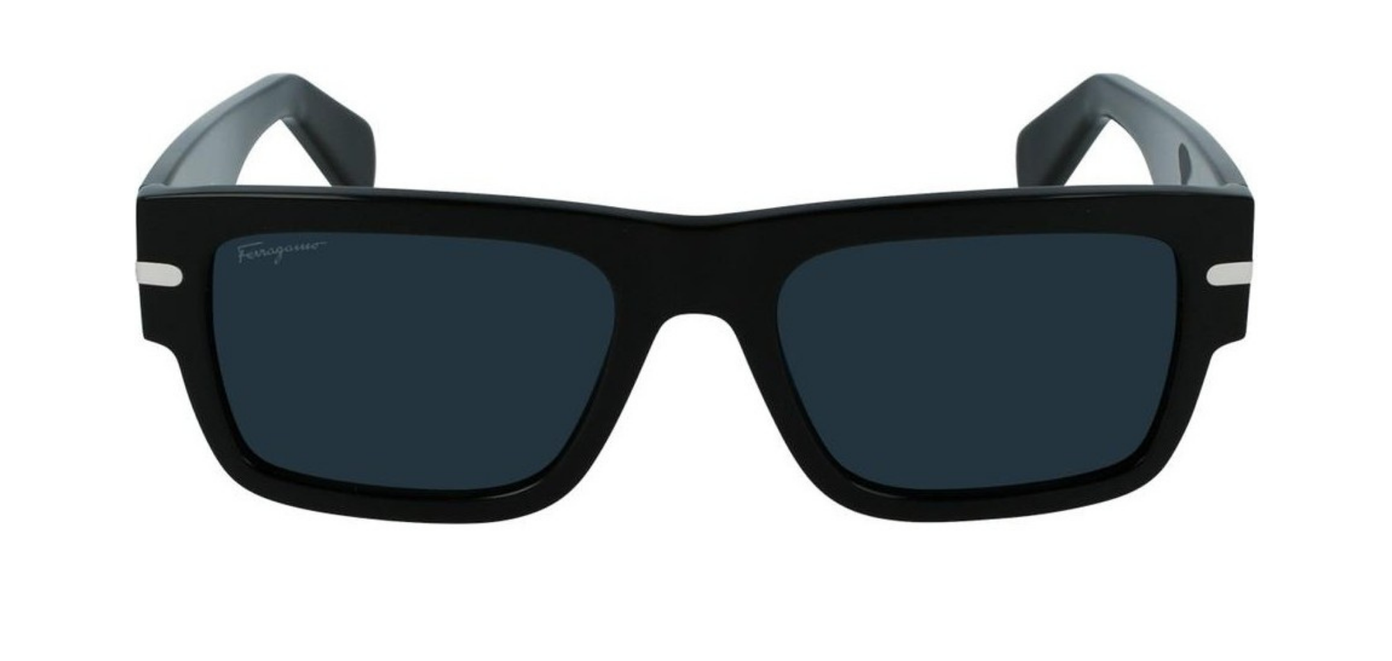 Salvatore Ferragamo-SF1030S-001-Elegance