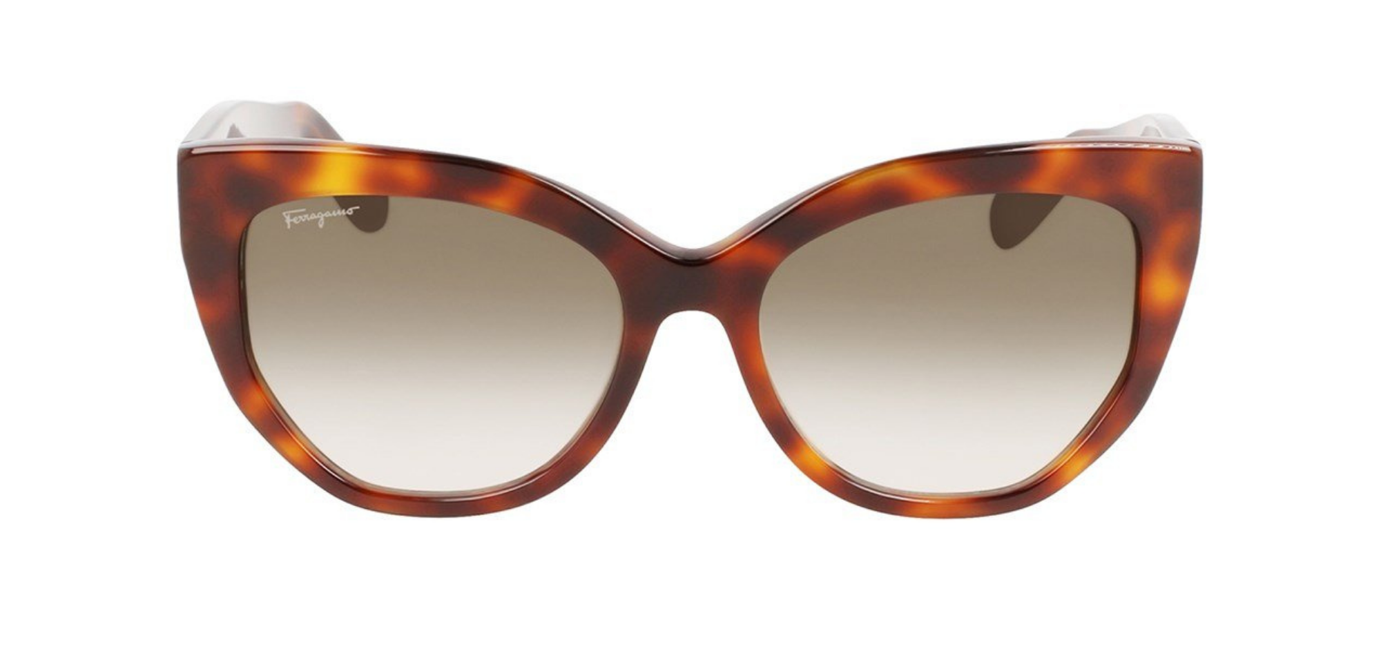 Salvatore Ferragamo-SF1061S-240-Elegance