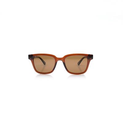 Gl 320 C3 50-21-145 UNISEX GÜNEŞ GÖZLÜĞÜ
