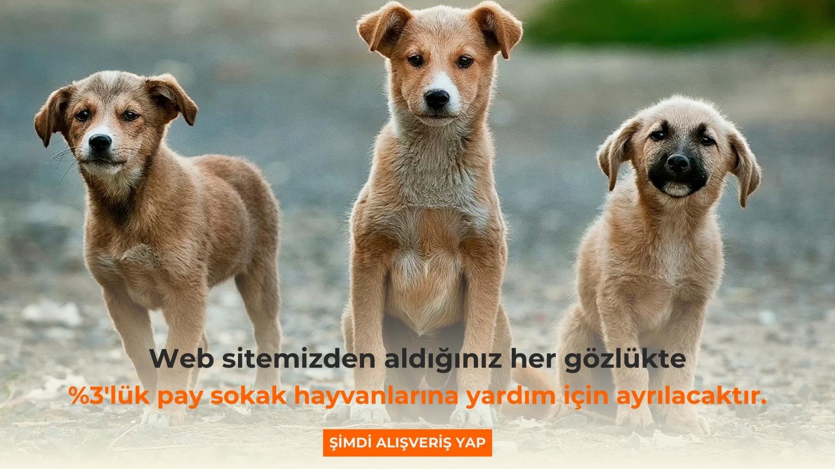 Gerçek Gözlük Gözlükçüden alınır.