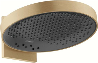 RAİNFİNİTY TEPE DUŞU 360 3JET MAT BRONZ