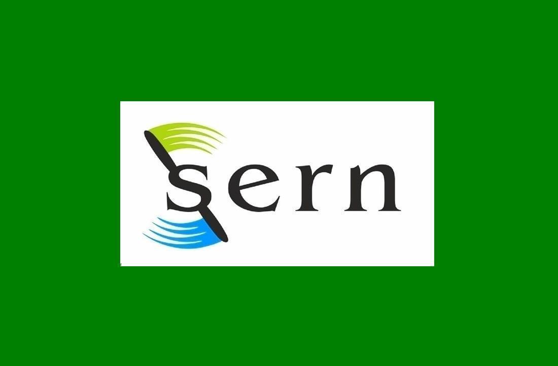 245x100mm 400W 230V SERN Infrared Ceramic Heater Element Flat Green LSF Model