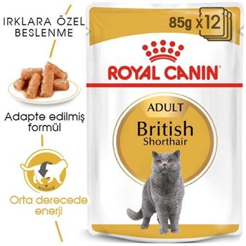 Royal Canin British Shorthair Irkına Özel Yaş Kedi Maması 85 Gr