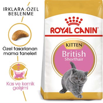 Royal Canin British Shorthair Kitten Yavru Kedi Maması - 2 Kg