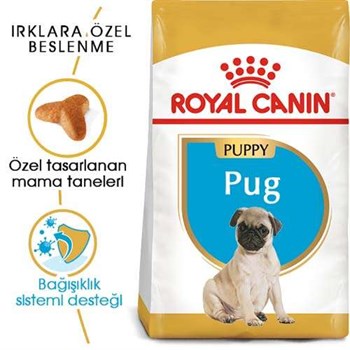 Royal Canin Pug Junior Yavru Köpek Maması - 1,5 Kg