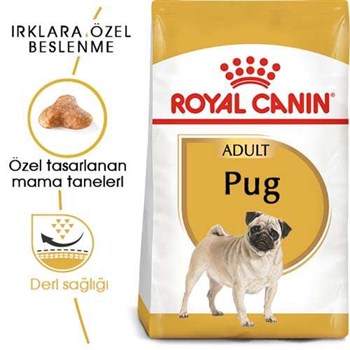 Royal Canin Pug Yetişkin Köpek Maması - 1,5 Kg