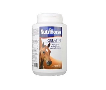Nutri Horse Gelatin Atlar için Tendon ve Kıkırdak Destekleyici 1 Kg