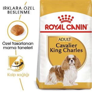 Royal Canin Cavalier King Charles Yetişkin Köpek Maması - 3 Kg