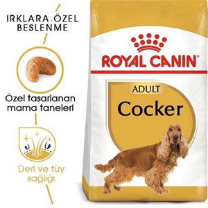 Royal Canin Cocker Yetişkin Köpek Maması - 3 Kg