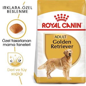 Royal Canin Golden Retriever Yetişkin Köpek Maması - 12 Kg