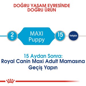 Royal Canin Maxi Junior Yavru Köpek Maması - 15 Kg