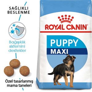 Royal Canin Maxi Junior Yavru Köpek Maması - 15 Kg