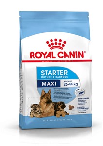 Royal Canin Maxi Starter Büyük Irk Anne ve Yavru Köpek Maması 15 Kg