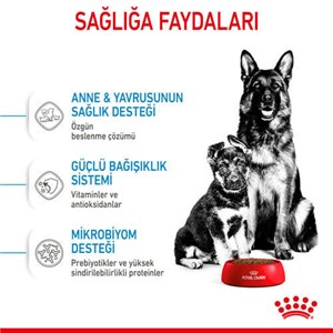 Royal Canin Maxi Starter Büyük Irk Anne ve Yavru Köpek Maması 15 Kg
