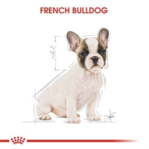 Royal Canin Puppy French Bulldog Yavru Köpek Maması 3 Kg