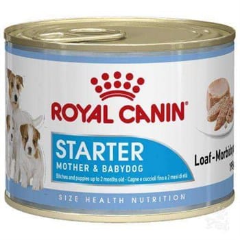 Royal Canin Starter Mousse Anne ve Yavruları İçin Köpek Konservesi 195 Gr