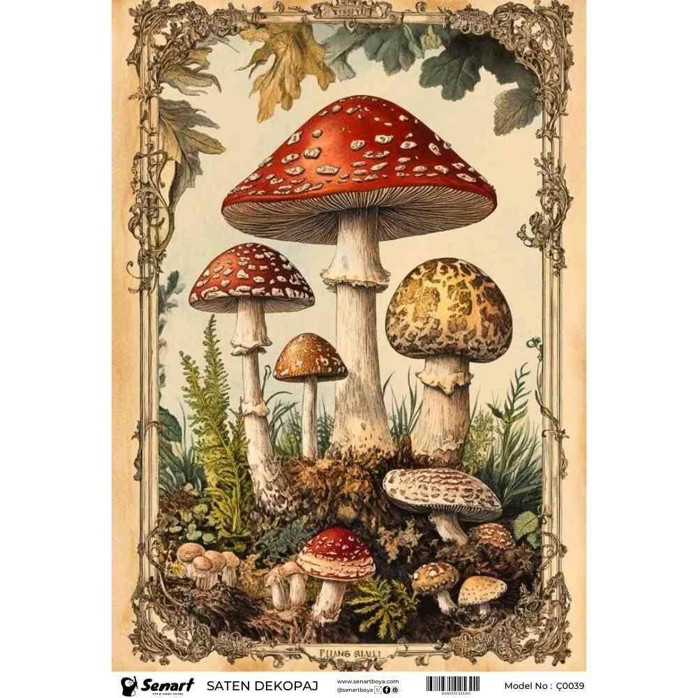 senart-cicek-saten-dekopaj-c0039-2cf2b-.jpg