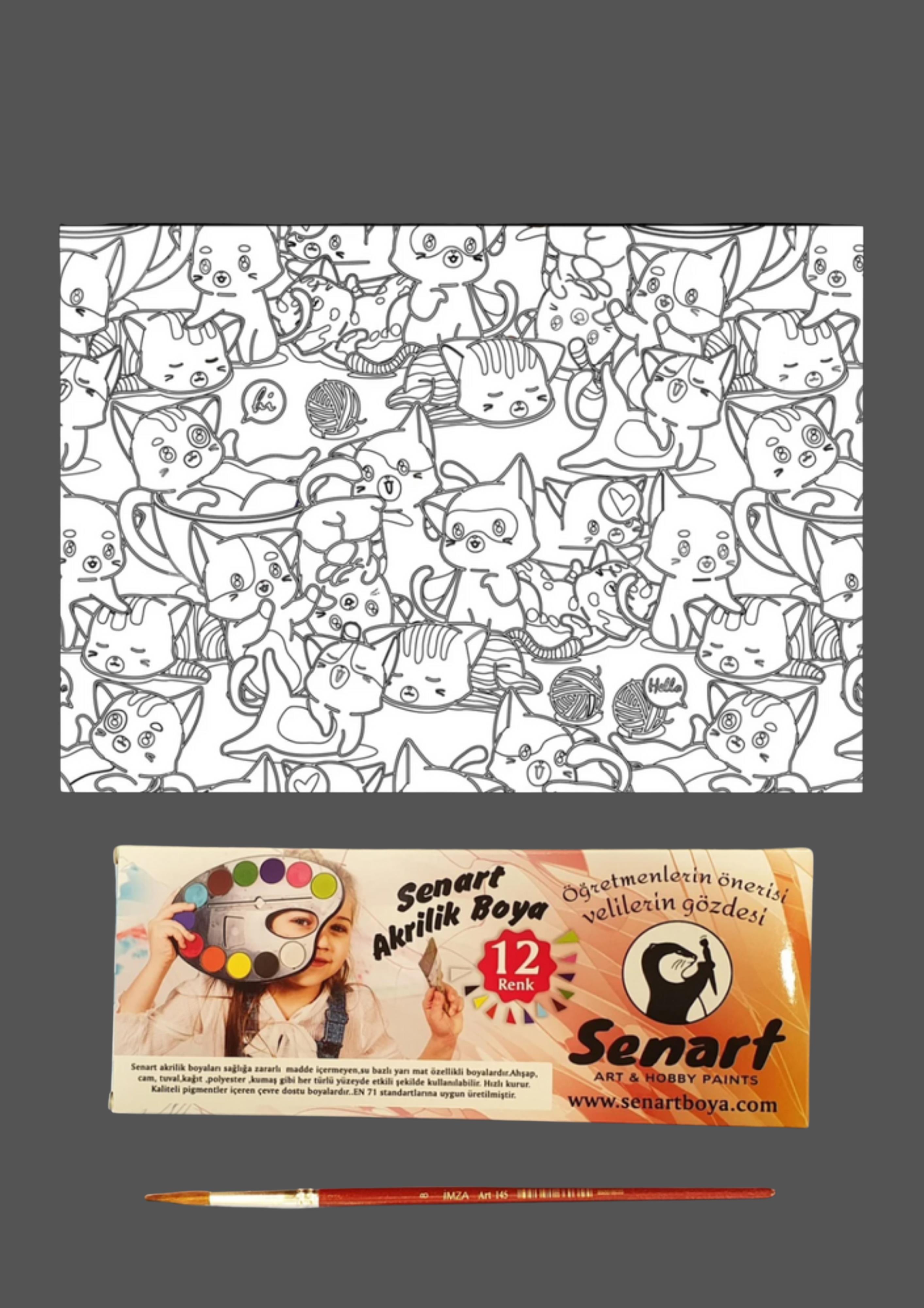SENART DÜŞLE BOYAMA SETİ 04 KEDİLER 35*50