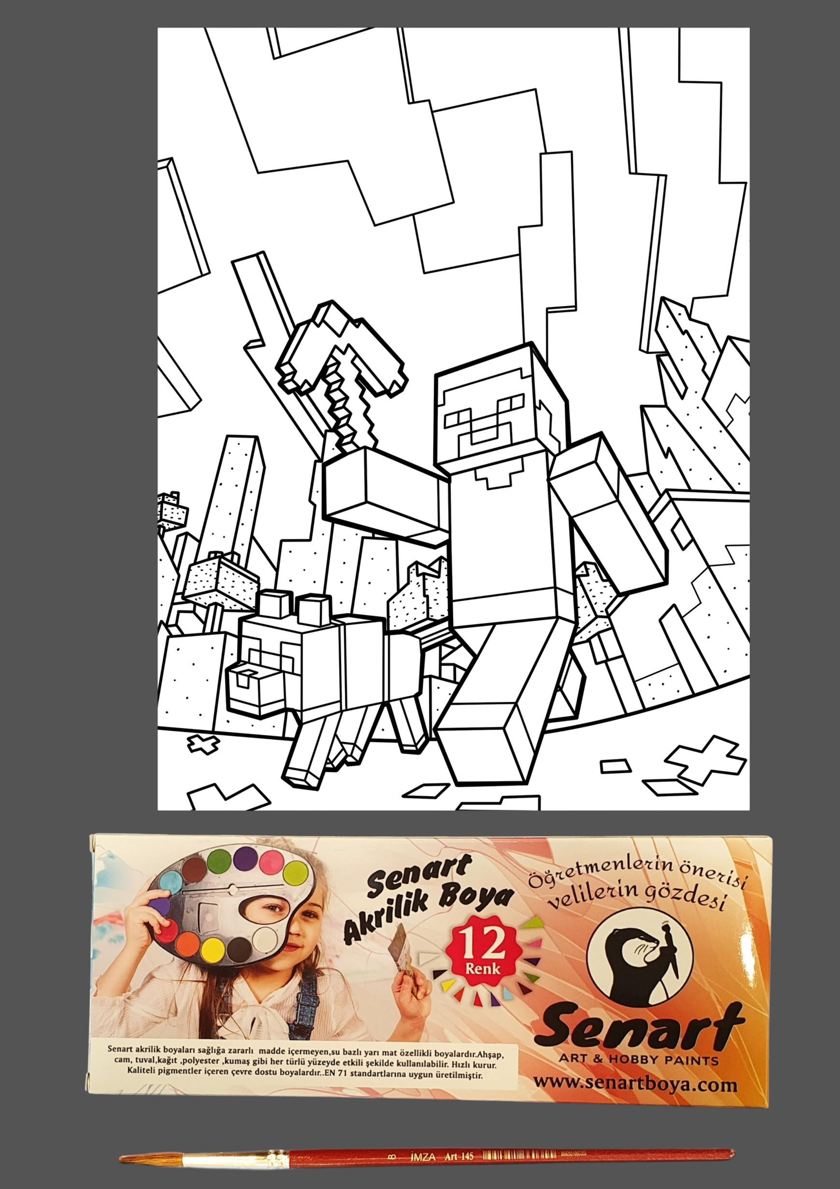 SENART DÜŞLE BOYAMA SETİ 13 MİNECRAFT 35*50