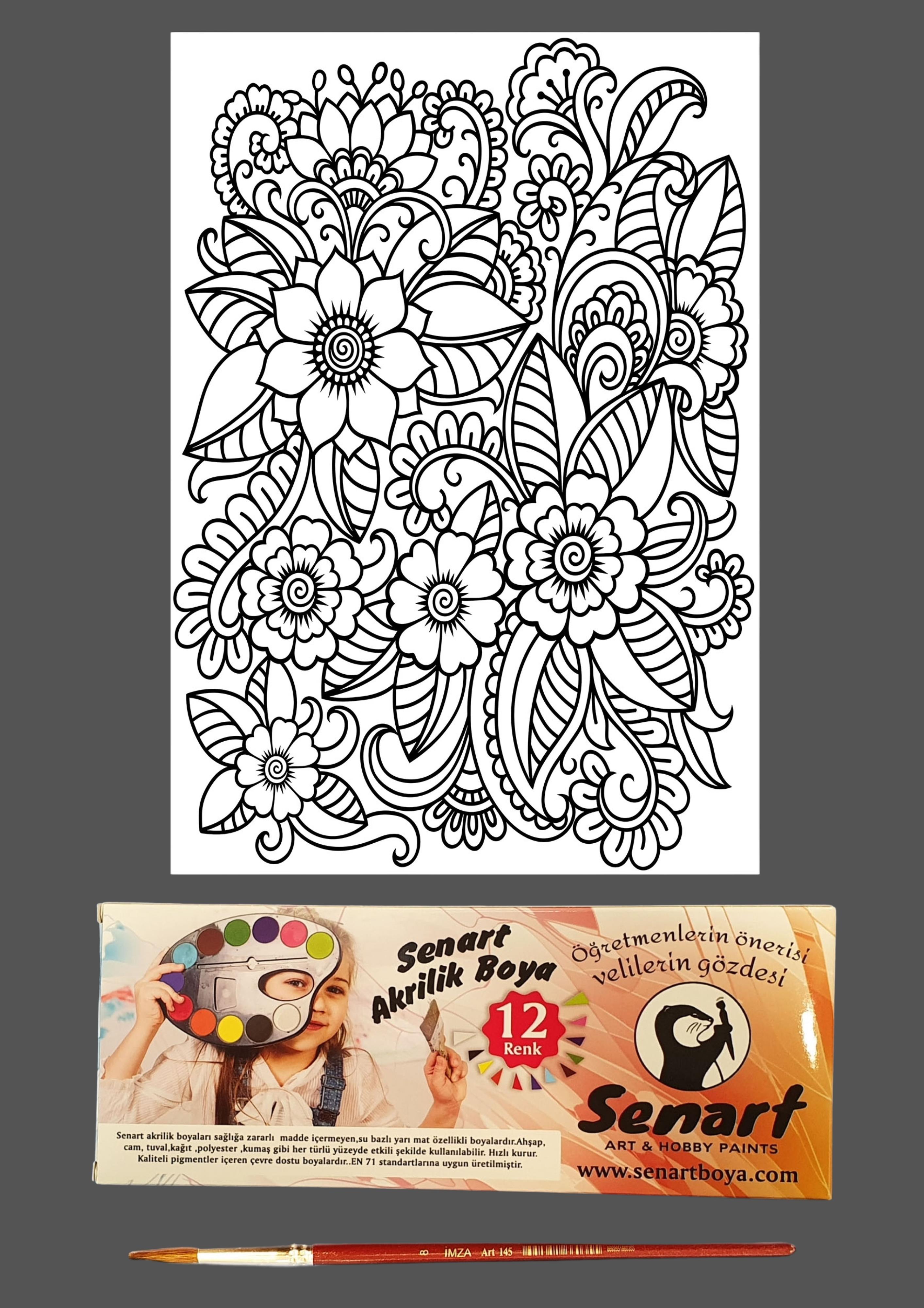 SENART DÜŞLE BOYAMA SETİ 14 ÇİÇEKLER 35*50