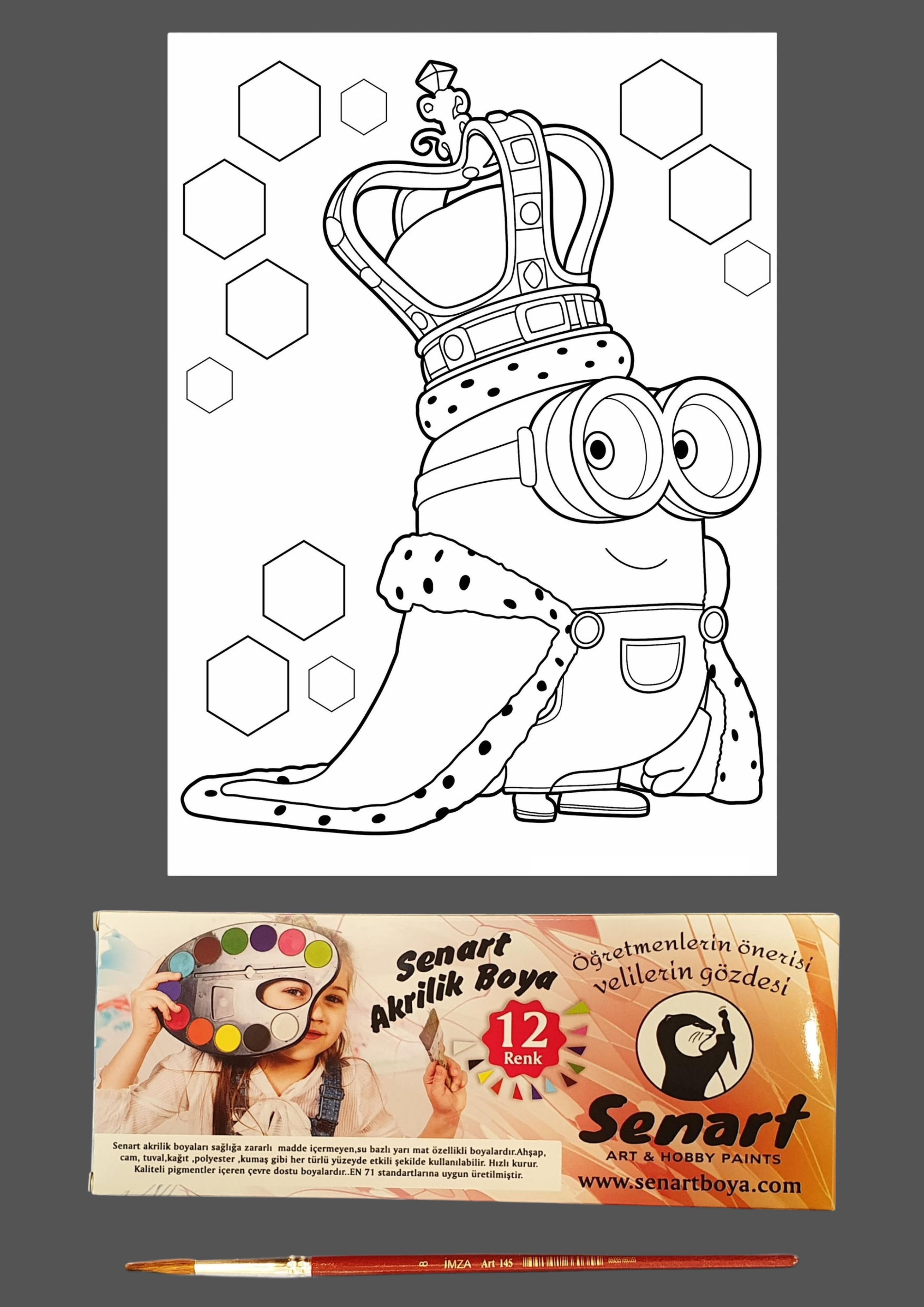 SENART DÜŞLE BOYAMA SETİ 16 MİNYON KRAL 35*50