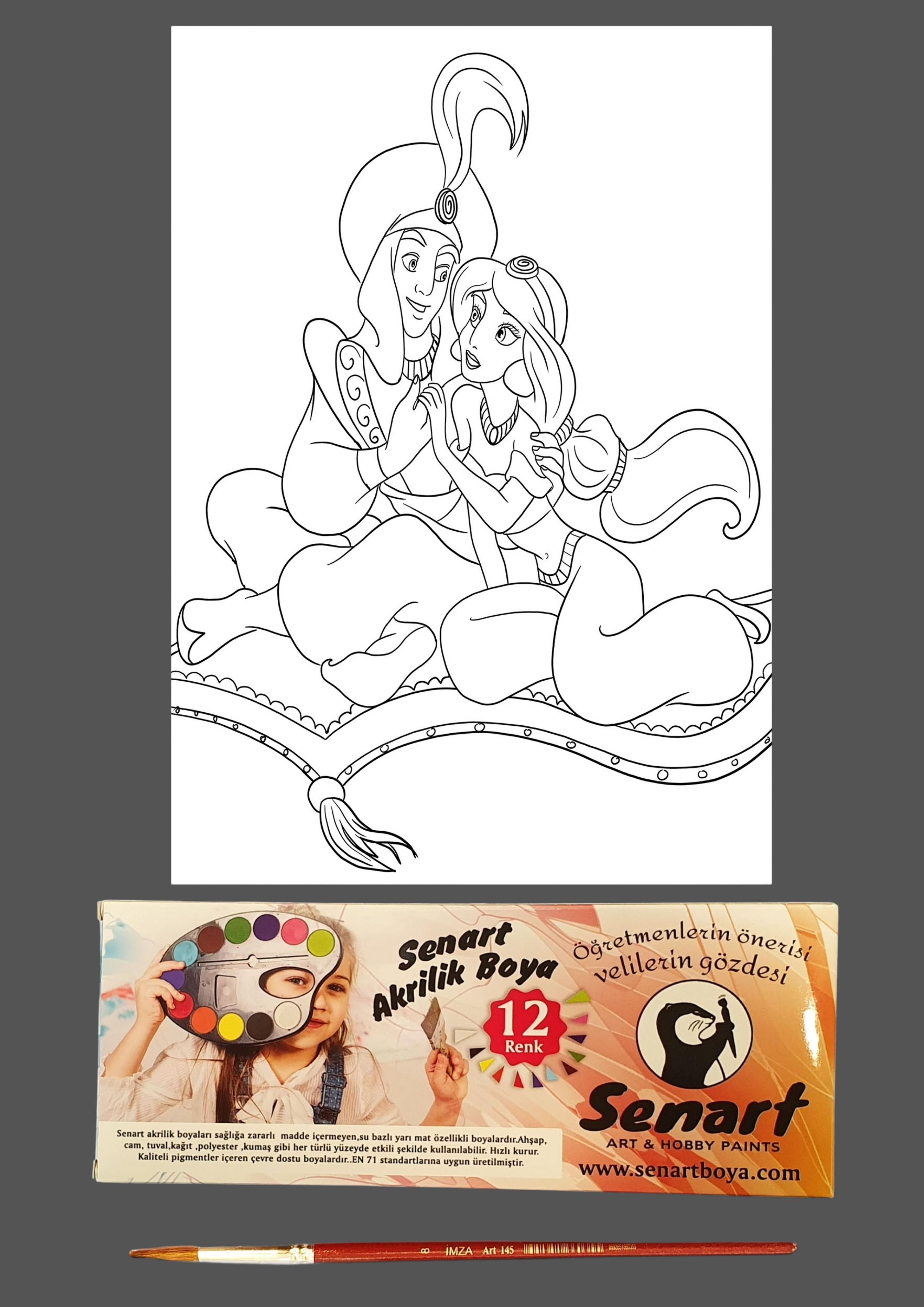 SENART DÜŞLE BOYAMA SETİ 21 ALADDİN 35*50