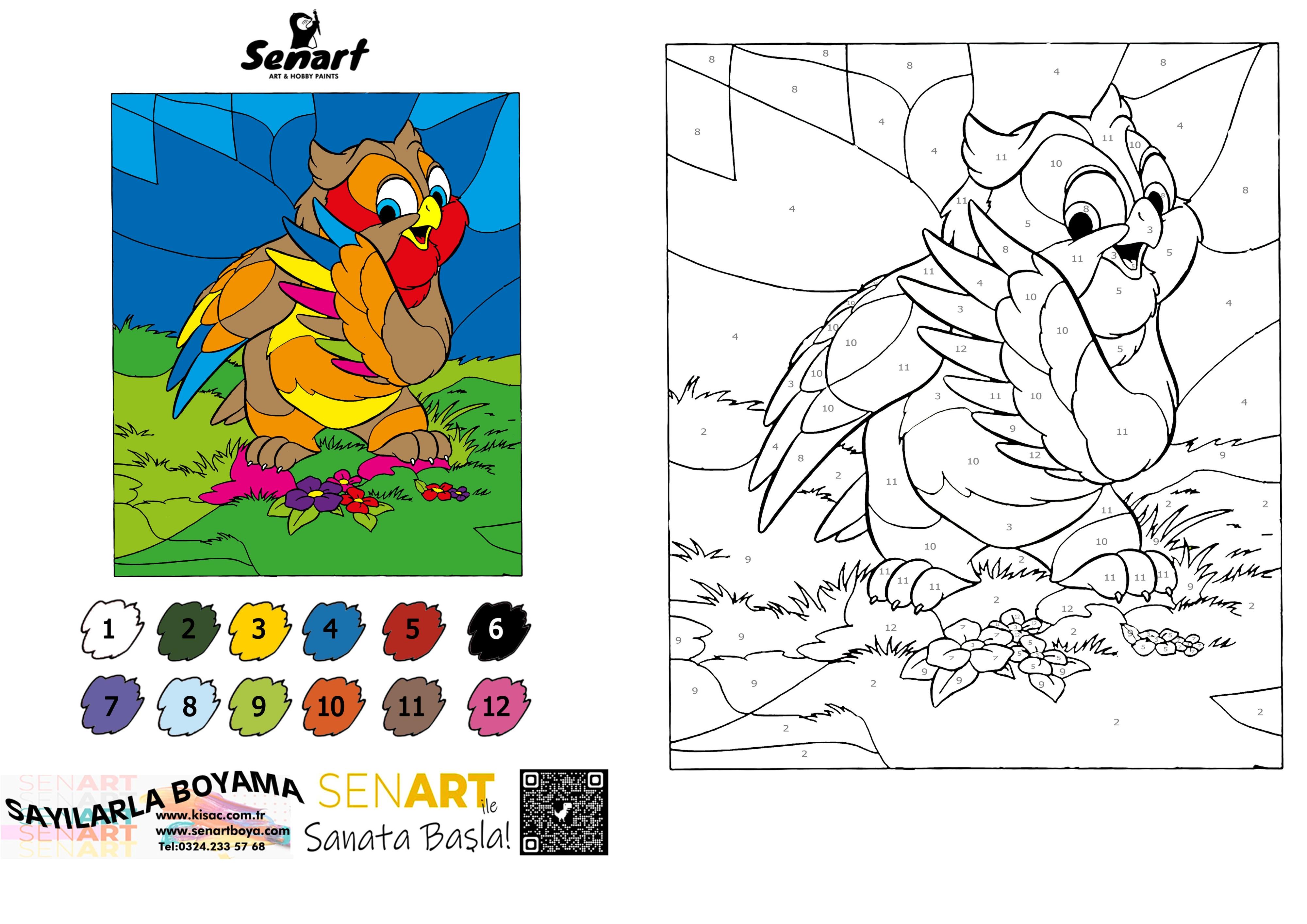 SENART SAYILARLA BOYAMA SETİ 003 BAYKUŞ  35*50