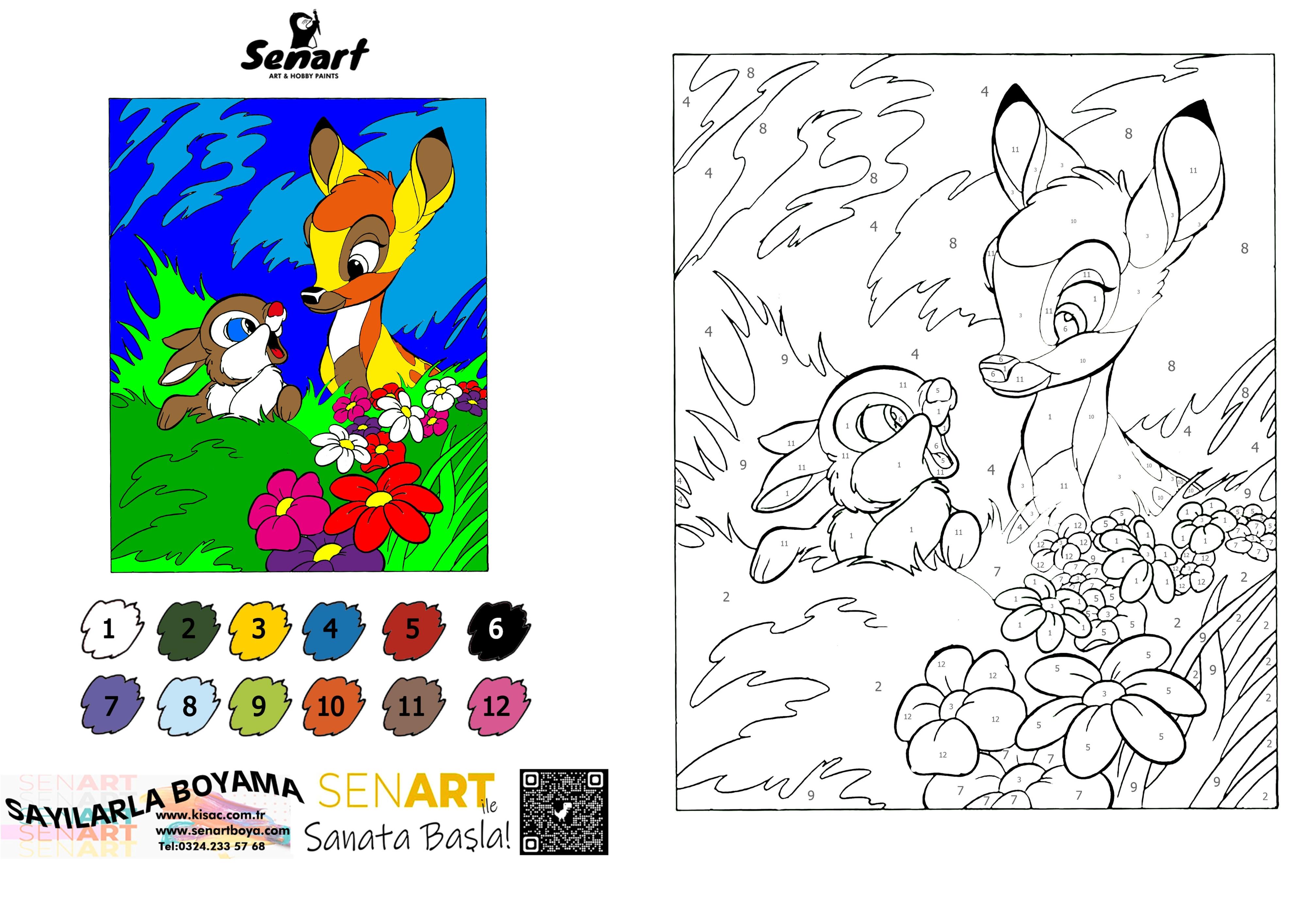 SENART SAYILARLA BOYAMA SETİ 005 GEYİK 35*50