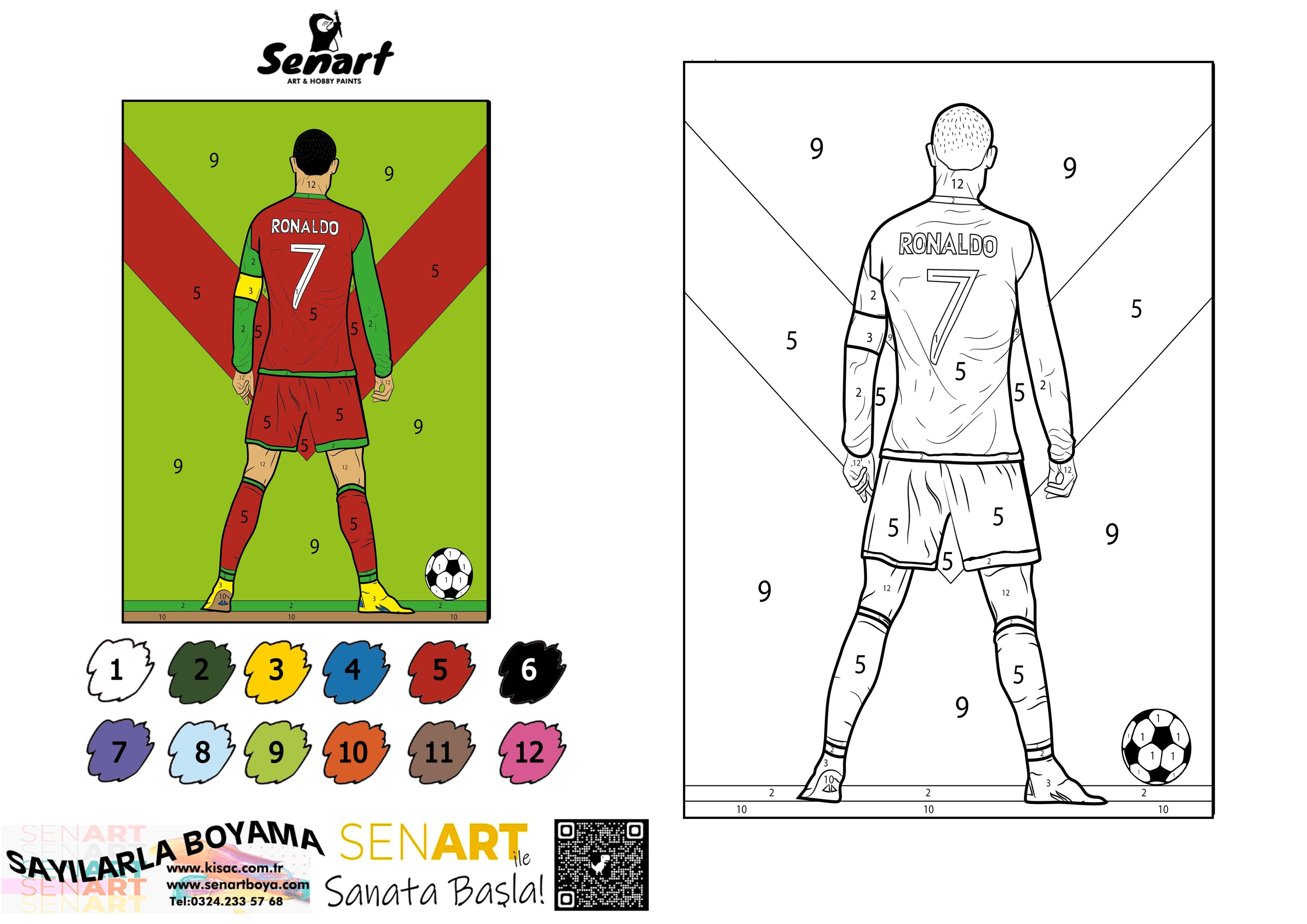 SENART SAYILARLA BOYAMA SETİ 013 RONOLDA 35*50