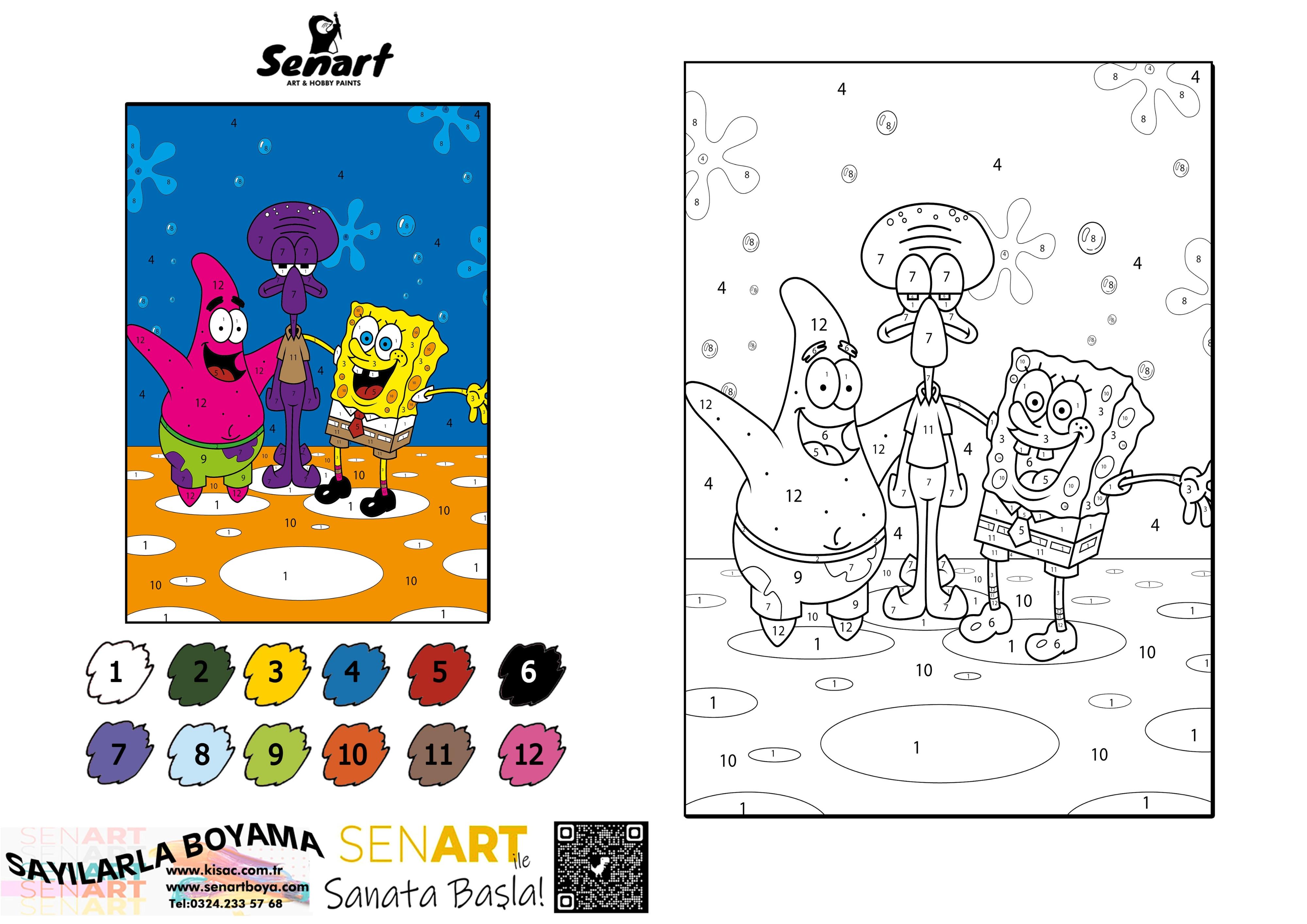 SENART SAYILARLA BOYAMA SETİ 014 SÜNGER BOB 35*50