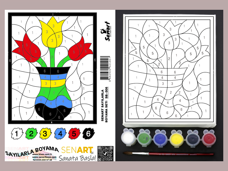 SENART SAYILARLA BOYAMA SETi SB- 006 VAZODA ÇİÇEK