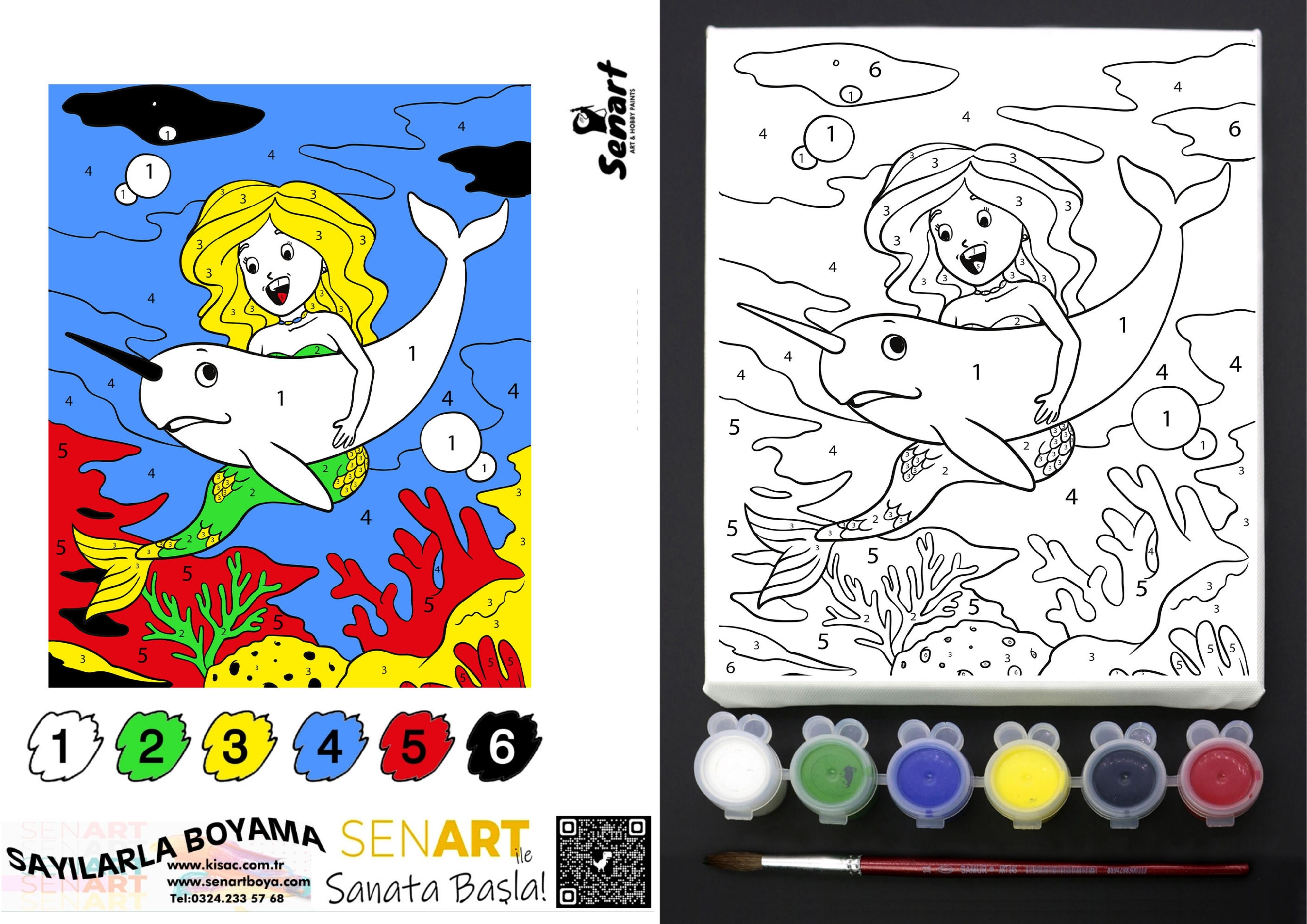 SENART SAYILARLA BOYAMA SETİ SB- 015 DENİZKIZI