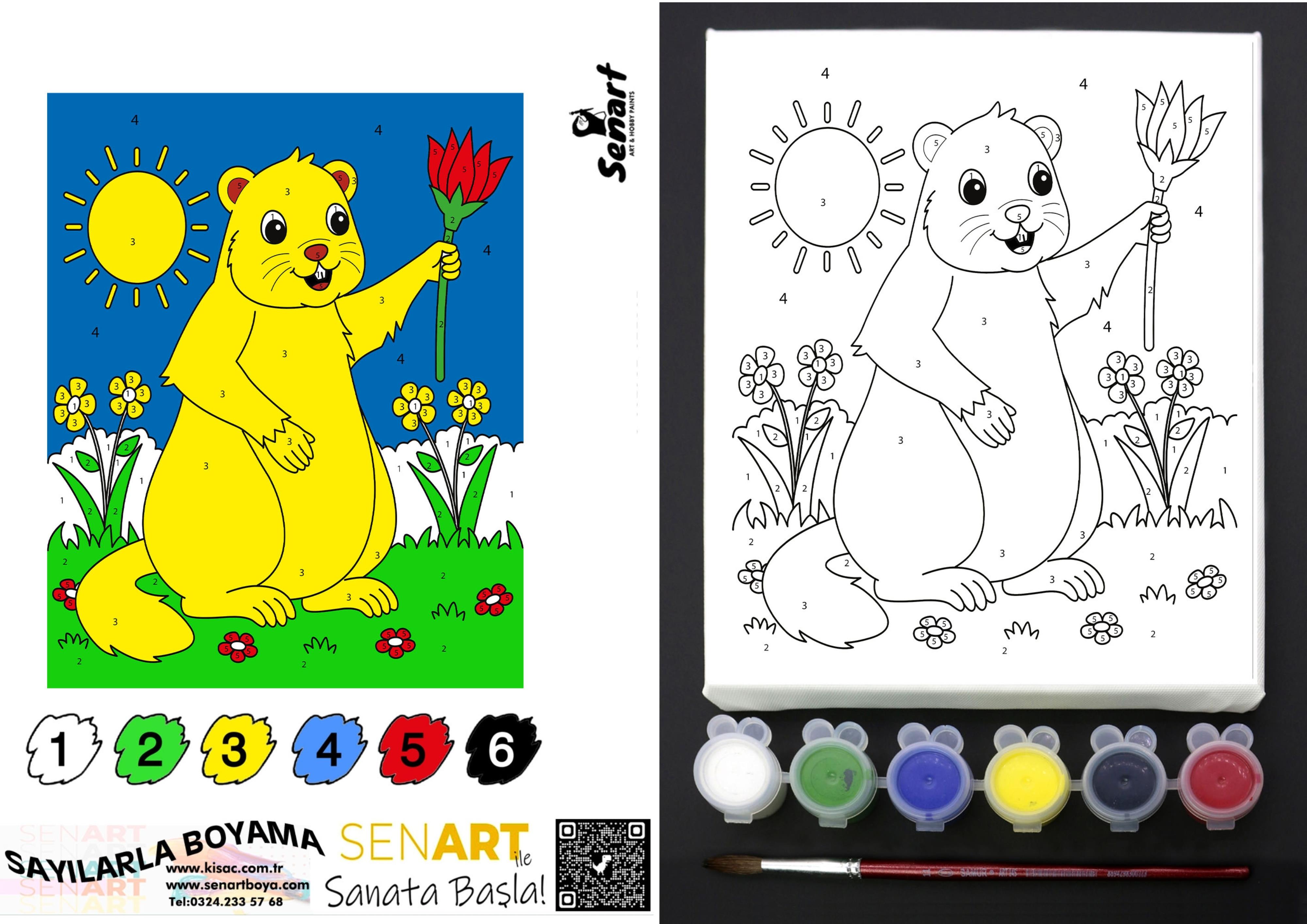 SENART SAYILARLA BOYAMA SETİ SB- 020 KÖSTEBEK