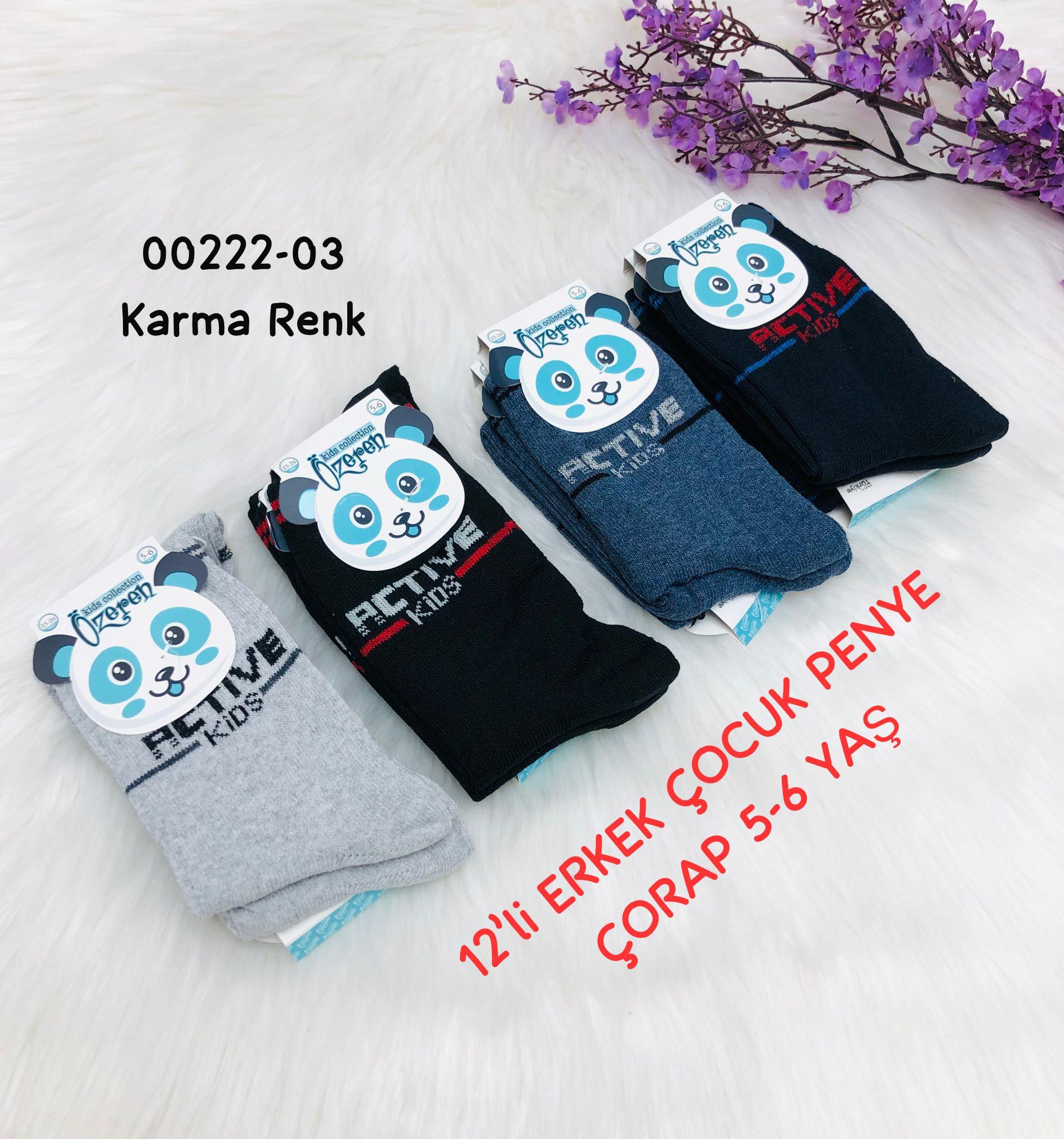 Erkek Çocuk Penye Çorap