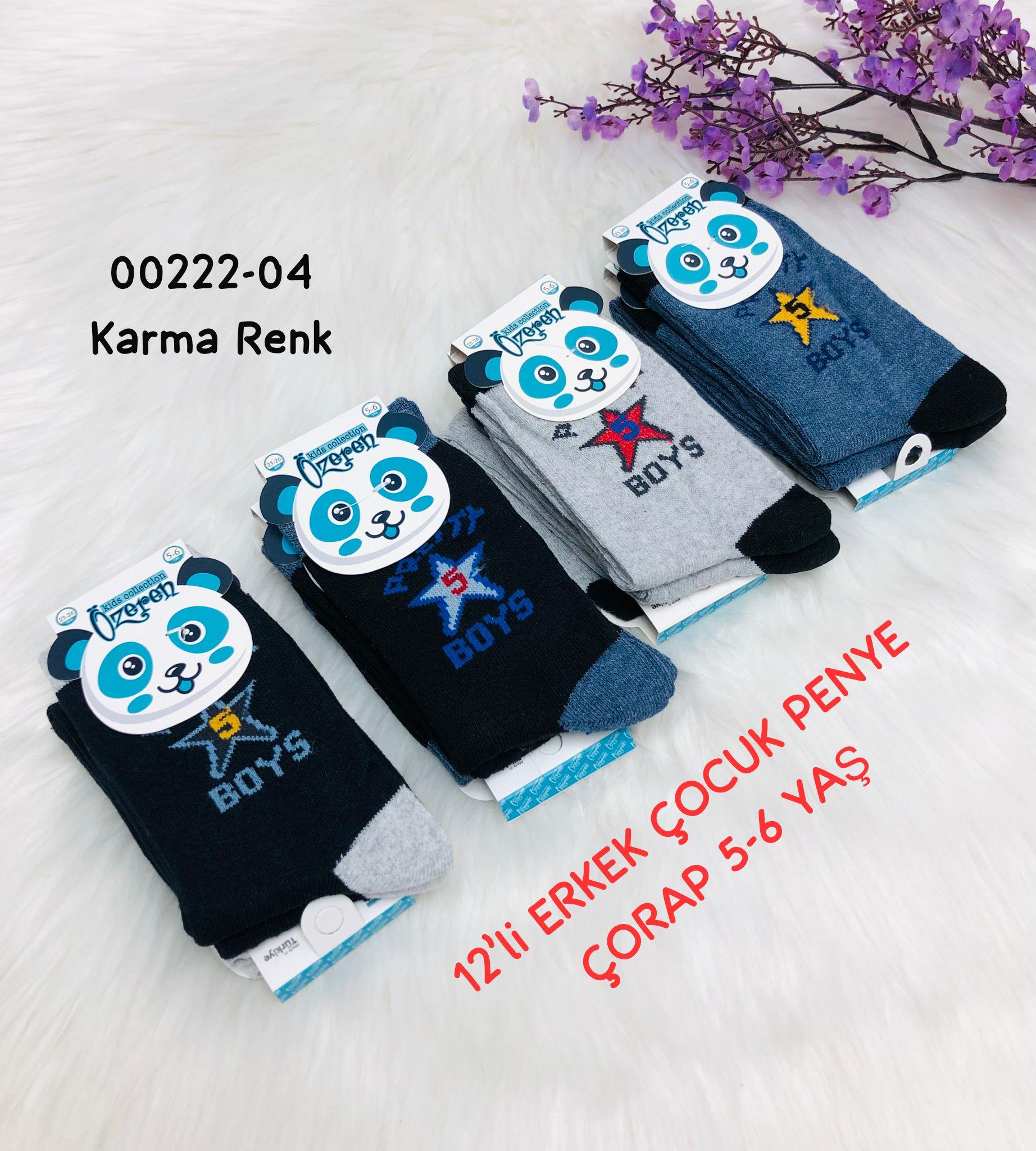 Erkek Çocuk Penye Çorap
