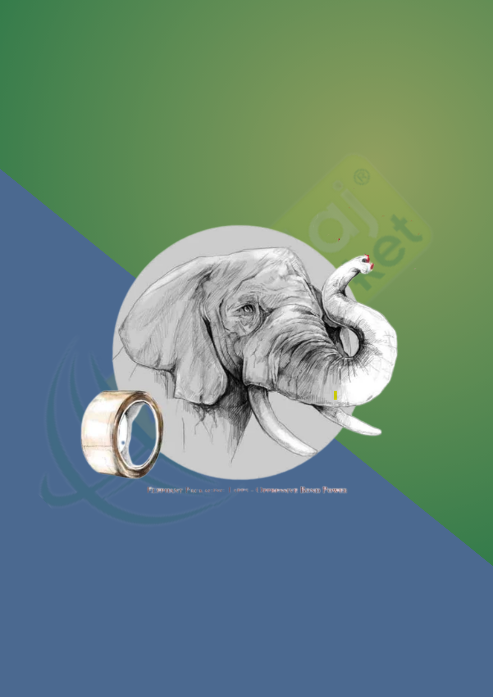 VEGE 45mm X 40mt(LEOPAR)