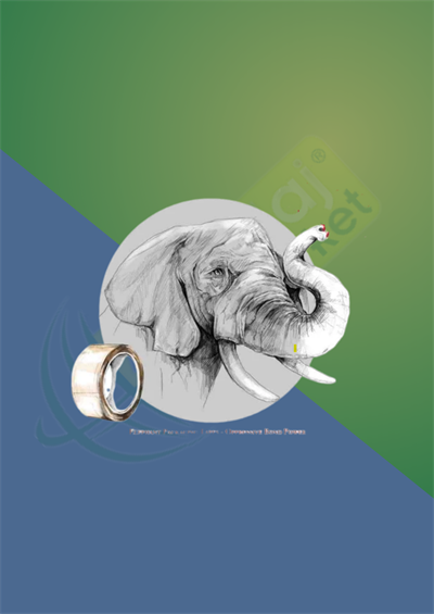 VEGE 45mm X 40mt(LEOPAR)