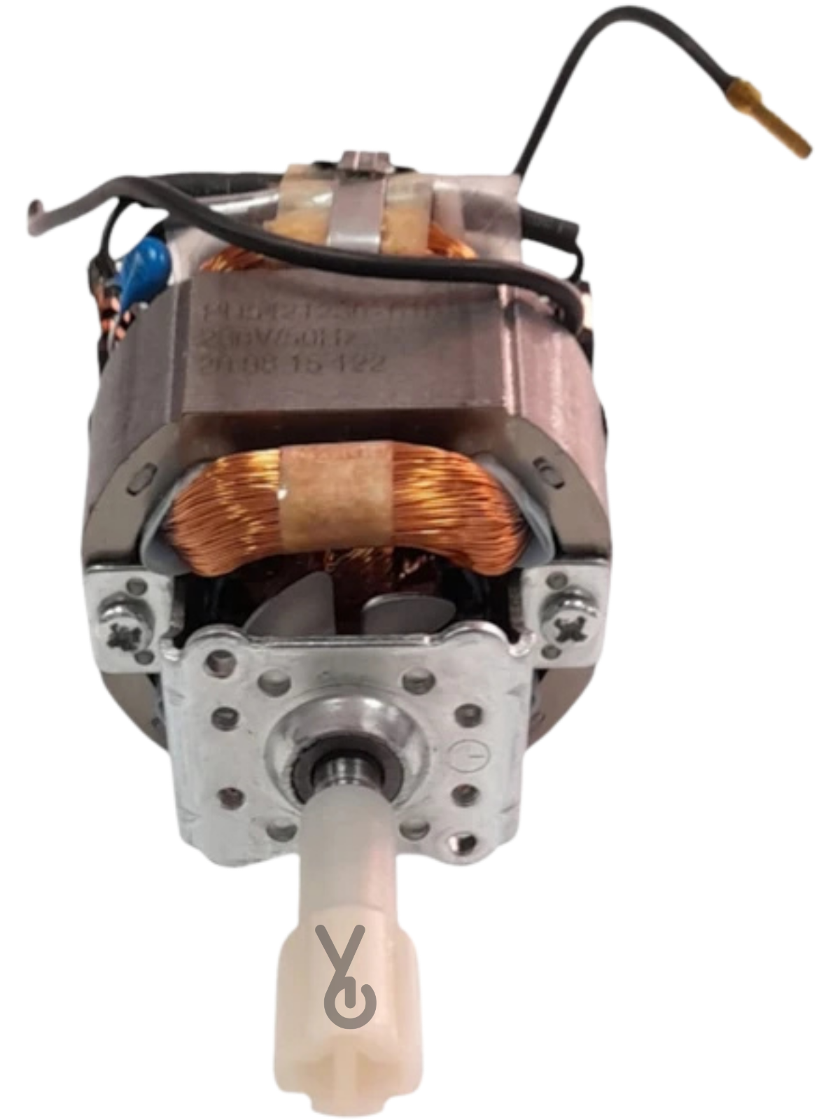 Fakir Capo - Tilia - Lucina Blender Için Motor
