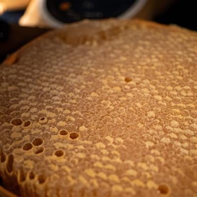 Hakiki Kars Karakovan Petek Balı (Şekersiz)