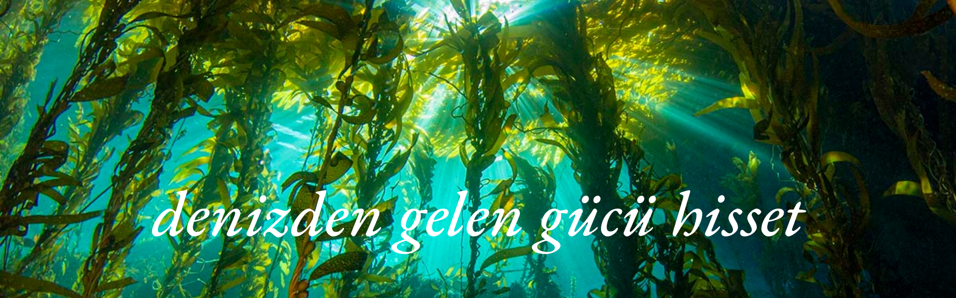 GUAM MUTLU GÜNLER DİLER.