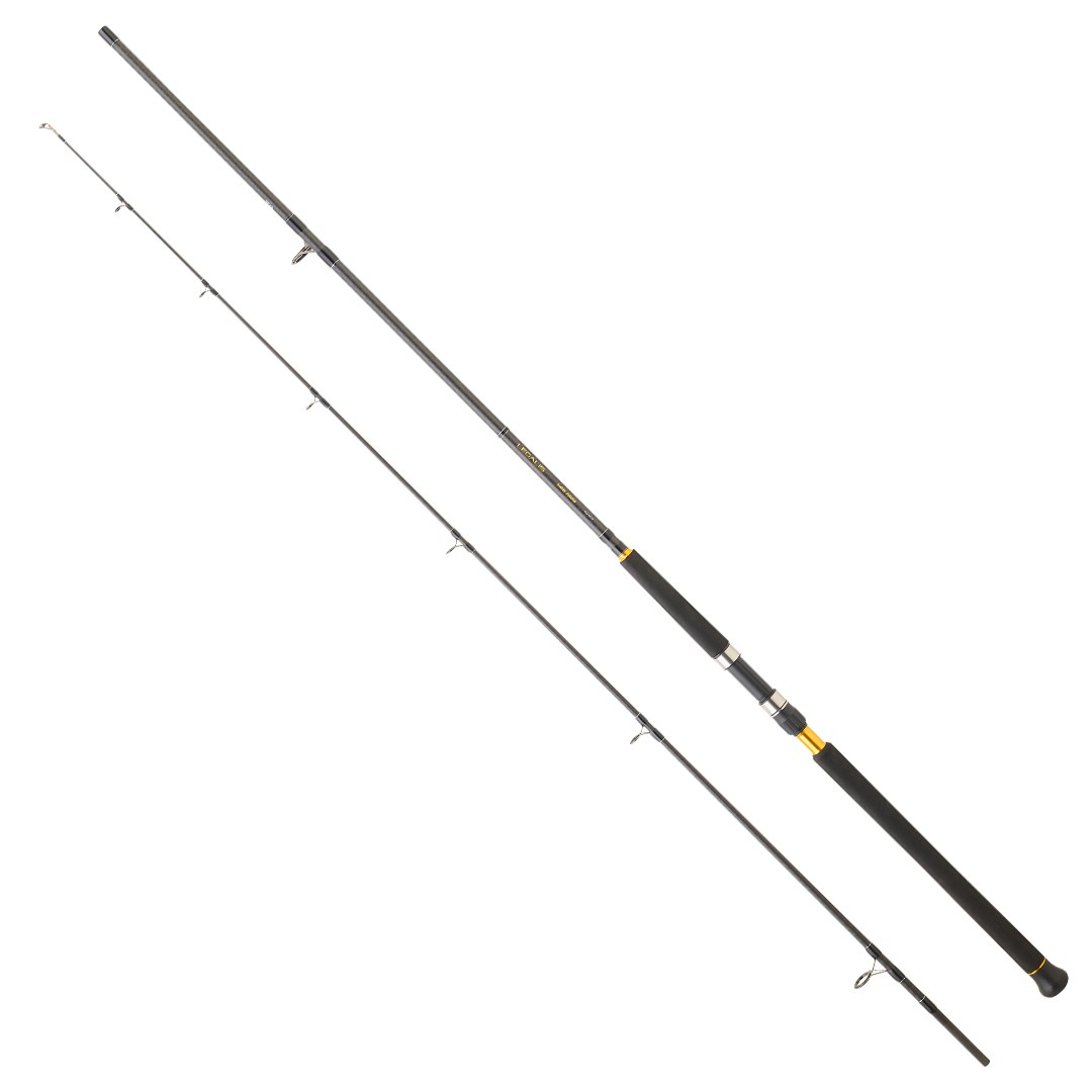 DAIWA LEGALIS SJ CF 3.05M 60-120GR 2P SHORE JIG KAMIŞ - Daiwa